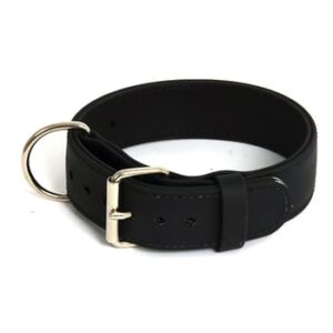 2" ASAT Agitation Collar