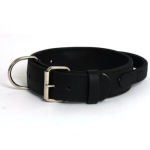 2" ASAT Agitation Collar w/ Handle