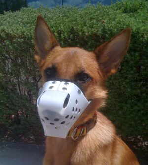 Plastic Basket-Style Muzzle