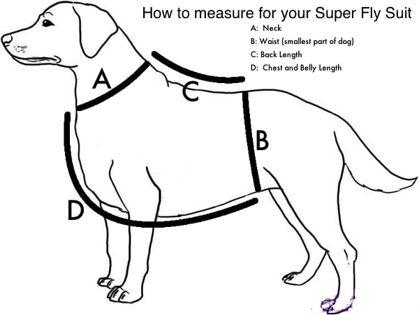 Competition Dog Vest - Image 2