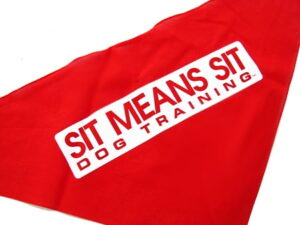 Sit Means Sit Dog Bandana
