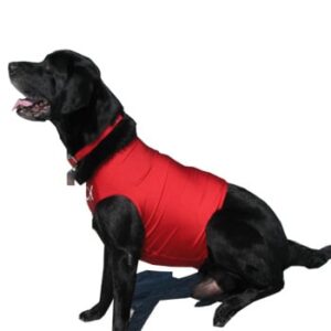 Competition Dog Vest