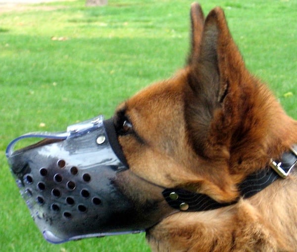 Plastic Basket-Style Muzzle - Image 4