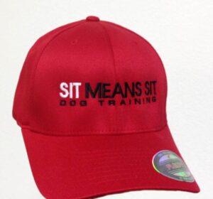 Sit Means Sit Embroidered Cap