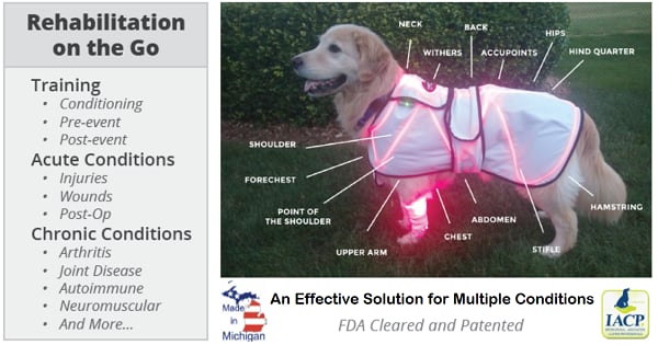 LASERwrap® +1 Impulse Laser XL, XXL, XXXL - Image 5