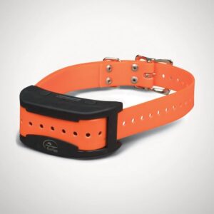 Contain+Train Collar