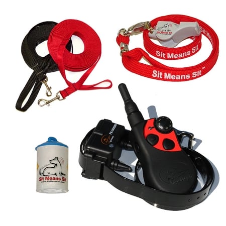 Dog Training Starter Kit