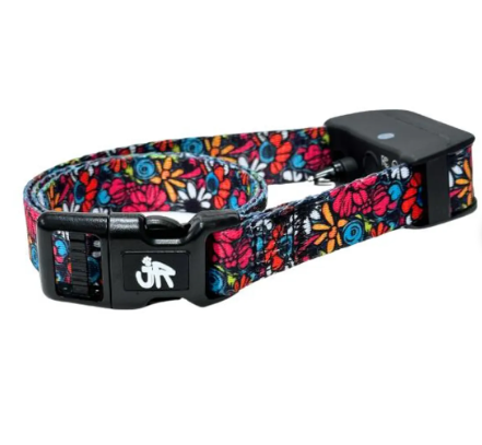 JRC E-Collar - Image 3